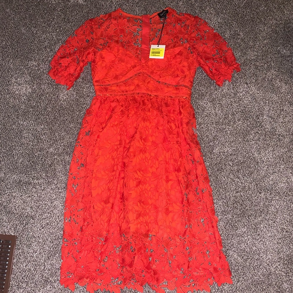 Bardot fit and flare lace dress